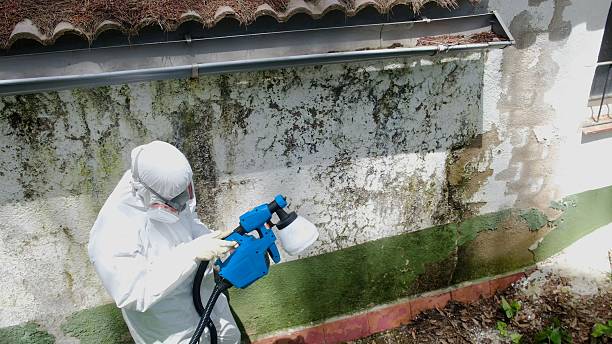 Clearance testing in Cedar Grove